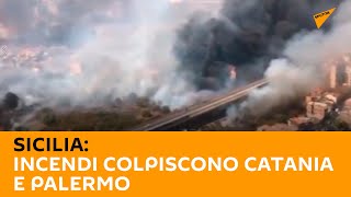 Sicilia: incendi colpiscono #Catania e #Palermo