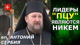 Сербская Церковь: Для нас нет в Украине иного Православия, кроме Церкви Митрополита Онуфрия