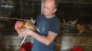 Разведение и содержание птицы. Органическое хозяйство "Лелека-92"