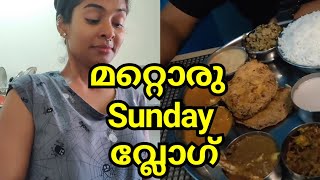 Sunday lunch special vlog|Movie time|Goa vlog|Goan thali|Skincare, face  serum update|Asvi Malayalam