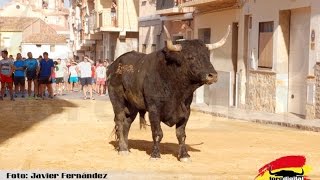 Faura 18-8-16 Toro de Dominguez Camacho
