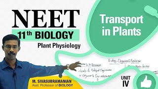 NEET 11th Biology || Transport in Plants || Plant Physiology || Unit-IV