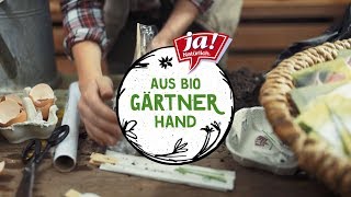 Aus Bio-Gärtnerhand: Mini-Gewächshaus bauen