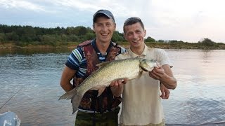 Рыболовный Турнир «Трофеи Вятки 2016» 1-ый Тур | Рыбалка на Спиннинг Ловлю Щуку и Судака на Воблер