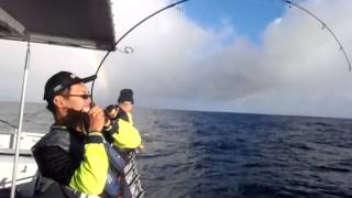 Jigging with AJN Jigging Jacks Jazel