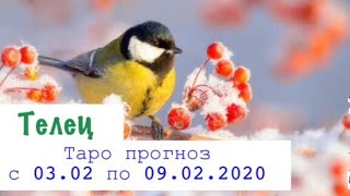 Телец _ гороскоп таро на неделю с 03.02 по 09.02.2020 _ Таро прогноз