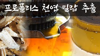 HOW TO EXTRACT BEESWAX