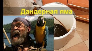 Пиратский Ром. Ч.2. Дандерная яма!