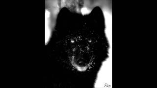 War Hound : Demons