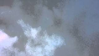 Seagull Models Edge 540 RC Plane part 1 of 3