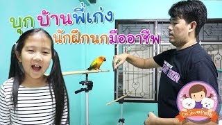 บุกบ้านพี่เก่ง นักฝึกนกมืออาชีพ