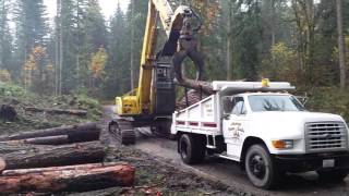 Firewood Dump Truck Hauling Logs  Washington State Logger