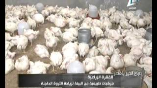 صباح الخير يا مصر ج2 8-11-2014