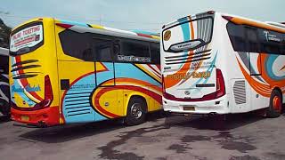 TAYO 2018 PERBEDAAN BODY BELAKANG BUS ROSALIA INDAH DENGAN BUS TUNGGAL DARA