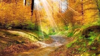 Осенний вальс (музыка для релаксации)