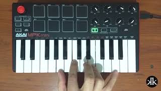 Dua Lipa & Calvin Harris - One Kiss (Cover)