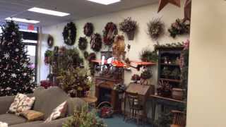Owl mounted on LaTrax Alias, Flips and Rolls!!!  QUADCOPTER
