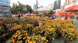 Chinese New Year Flower Market 2020, Victoria Park, Hong Kong