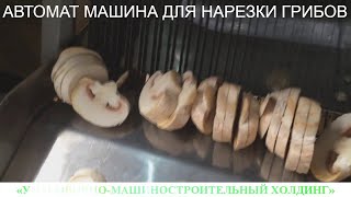 АВТОМАТ МАШИНА ДЛЯ НАРЕЗКИ ГРИБОВ,  ЛУКА, ОГУРЦОВ, ПОМИДОРОВ, ПЕТРУШКИ И ДР