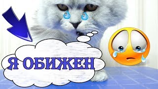 КЕВА В ШОКЕ! СМЕШНАЯ ТАЙНА БИЛЛИ? ПОЛОСА ПРЕПЯТСТВИЙ 2