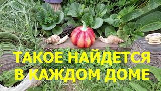 Как Сделать из Цемента Кирпичики для Садового Бордюра Своими Руками / artesanias hechas de cemento