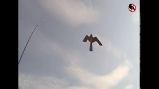 Динамический отпугиватель птиц "КРУК". Как отпугивать птиц?