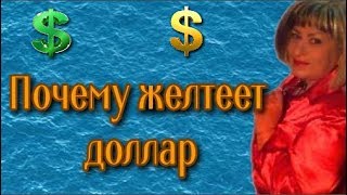 Жёлтый значок Какой контент можно монетизировать