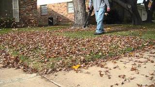 Leaf Blowing with the ECHO PB 500T Backpack Blower