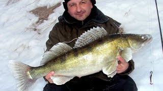 Как правильно искать рыбу. Зимний спиннинг на Москве-реке. Обучающее видео о рыбалке. Джиг.