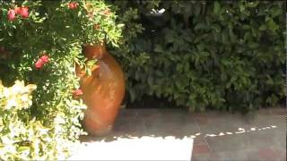 Casa Vacanza Giusi - TL07, Torre Lapillo (Porto Cesareo)