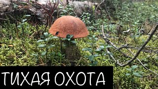 Тихая Охота. За грибами между рыбалками