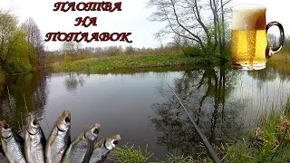 Ловля плотвы на поплавок
