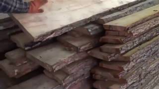 Сушка и хранение леса/Заготовка леса/очистка коры и сушка леса/кладём в склад дрова