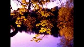 "Осень" Music Sergey CHEKALIN. "Autumn". Beautiful  russian music. 美しいロシアの音楽
