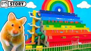 Stepped Hamster Maze ️‍? Rainbow Pyramid Maze ️‍? Stepped Hamster Obstacle Course