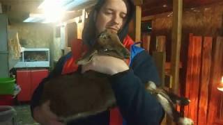 СНЕГ..САРАЙ..ОБЕД..ЗАПАСЫ..ВЕЧЕР...