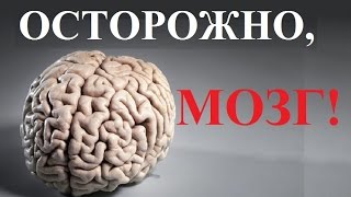 Осторожно, мозг!