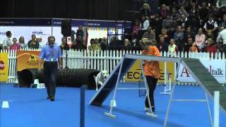 Sport News, agility: Dalmation in dog agility contest, South Africa