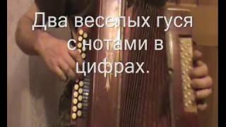 Два веселых гуся с нотами в цифрах. Играй гармонь.