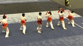 1st European Taijiquan and internal Wushu Styles Championship 2014