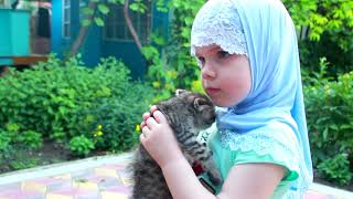 ИСЛАМ НА ЗАЩИТЕ ЖИВОТНЫХ ! ISLAM PROTECT ANIMALS