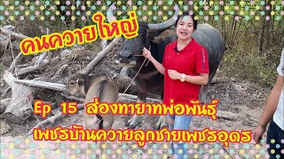 คนควายใหญ่ Ep 15 ส่องทายาทเพชรบ้านควายลูกชายเพชรอุดร
