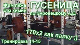 ГУСЕНИЦА по Суровецкому А.Е. Видео: 6