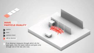 Wave Particle Duality