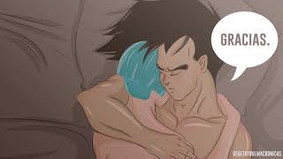 VEGETA Y BULMA CRÓNICAS - ROMANCE - "Agradezco por esta noche"