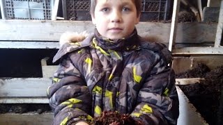 АТ59 Маточное поголовье червей. Продажа, Теория, Общение по скайпу