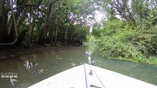 Poovar Backwaters