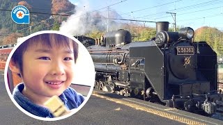 SLパレオエクスプレスにみんなで乗りました【がっちゃん5歳】C58 蒸気機関車