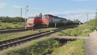 Торошино #5. Cкрещение 2-х грузовых поездов с пригородным. 2ТЭ116У-0294, ДТ1-006/002, 2М62У-0335А