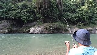 Top 5 - Best Traditional Fishing on the Big River | Amazing Traditional Fishing